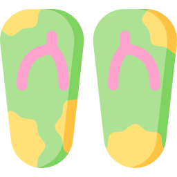 flip flops icon