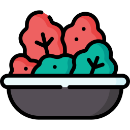 Kimchi icon