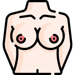 Breast icon