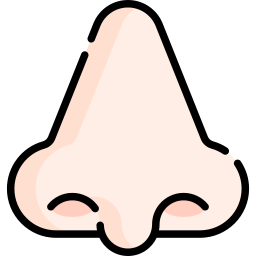 Nose icon