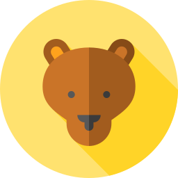 Bear icon