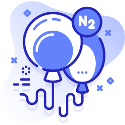 N2 icon