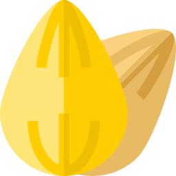 Almond icon