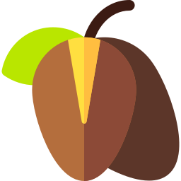 Argan icon