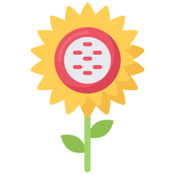 sonnenblume icon