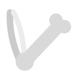 knochenstruktur icon