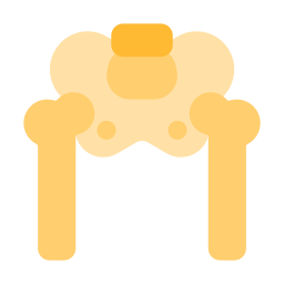 estrutura óssea Ícone