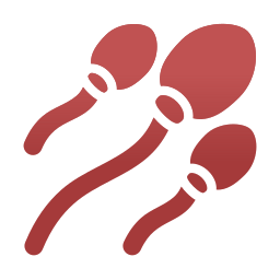 sperma icon