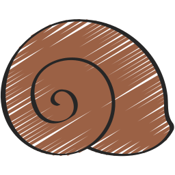 Shell icon