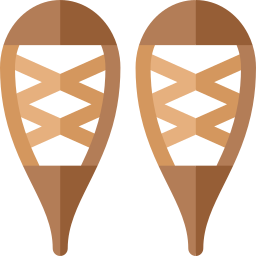 Snowshoes icon