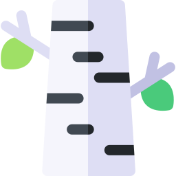 Birch tree icon