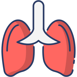 Lungs icon