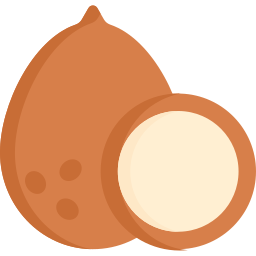 kokosnuss icon