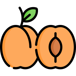 Apricot icon