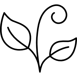 Plant with Two Leaves icon