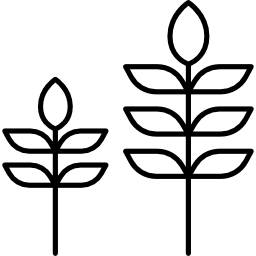 deux plantes Icône