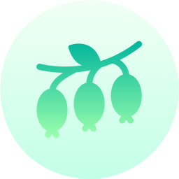 Berries icon