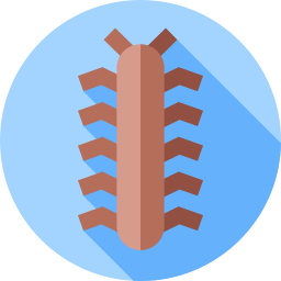 Worm icon