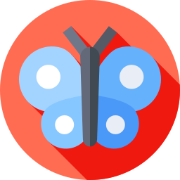 Butterfly icon