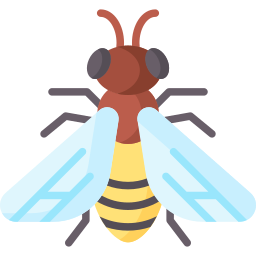 Bee icon