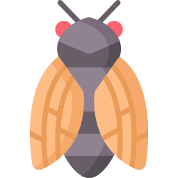 Cicada icon