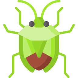 Stink bug icon