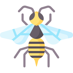 Wasp icon