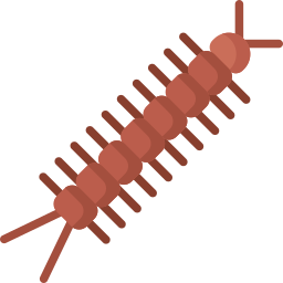 Centipede icon