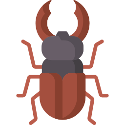 Stag beetle icon