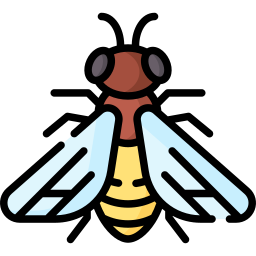 Bee icon