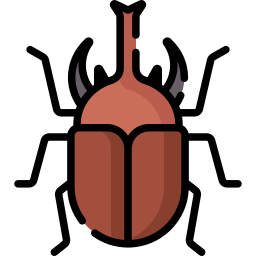 Rhinoceros beetle icon