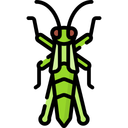 Grasshopper icon