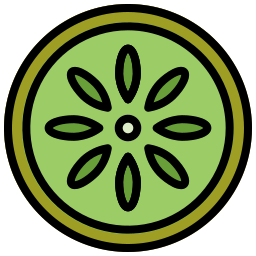 kiwi icon