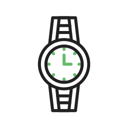 Wristwatch icon