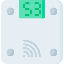 Scale icon