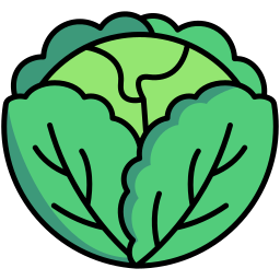 Cabbage icon