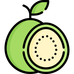 Guava icon