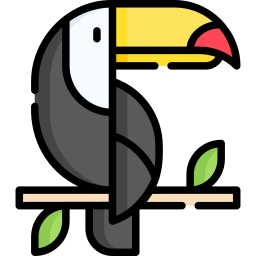 Toco toucan icon