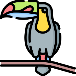 Toucan icon