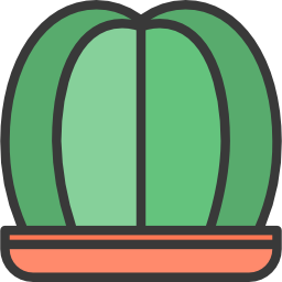 kaktus icon