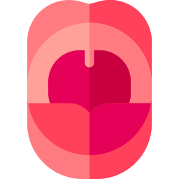 Uvula icon