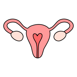 Uterus icon