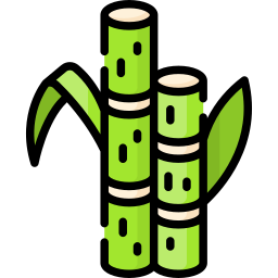 Sugar cane icon