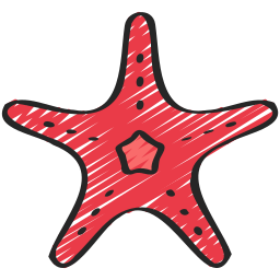 Starfish icon