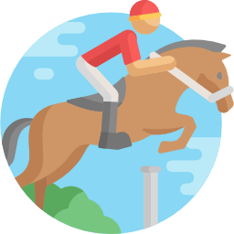 reiten icon