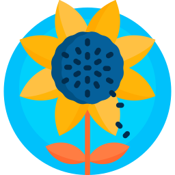 Sunflower icon