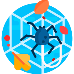 Spider icon