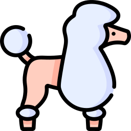 French poodle icon