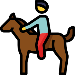 reiten icon