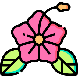 hibiskus icon